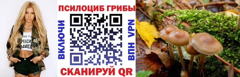 Галлюциногенные грибы мицелий Первоуральск